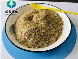 Root divinorums extract powder