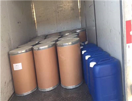 2-(2-Methoxyphenoxy)ethylamine hydrochloride