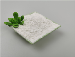 para-Methoxy-N-ethylamphetamine