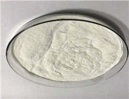 2,4-Thiazolidinedione