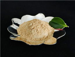 1,3,5-Tribromobenzene