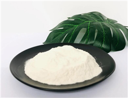 Hydroxypropyl methyl cellulose