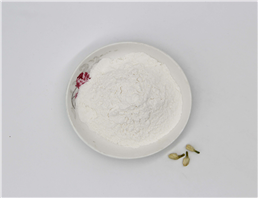 Benzisothiazolone CAS 2634-3-5