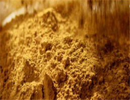 Polygonum cuspidatum(Resveratrol)