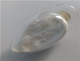 β-Nicotinamide Adenine Dinuclotide（NAD）