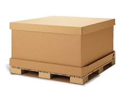 4-Methylsulfonylphenol