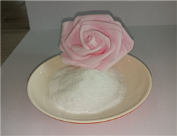 Tetramisole Hydrochloride