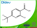 2-Chloro-6-trifluoromethylnicotinic acid  pictures