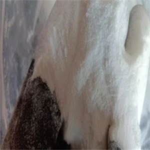 S4; Megestrol acetate