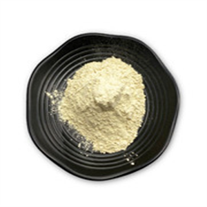 Raloxifene hydrochloride  Evista