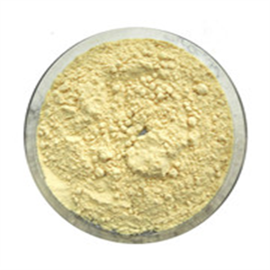 Raloxifene hydrochloride  Evista