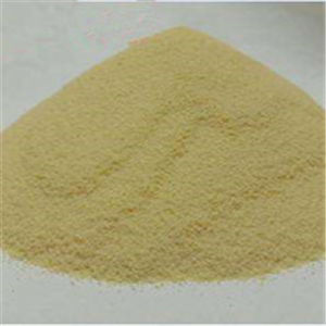 Vitamin A     Retinol