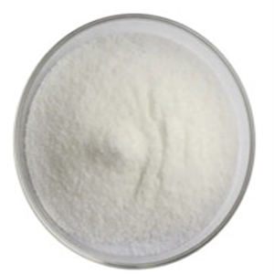 Mycophenolate mofetil