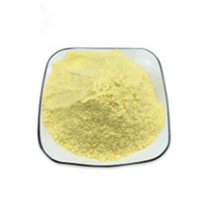 Mifepristone;Mifegyne; Mifeprex