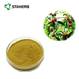 Cortex Myricae extract Myricetin
