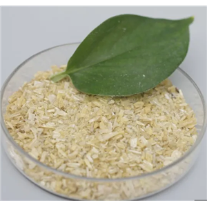 1,3,2-Dioxathiolane 2,2-dioxide