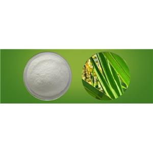 L-rhamnose Monohydrate