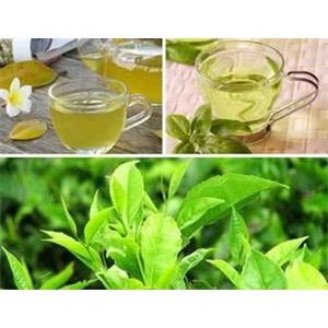 Green Tea Extract
