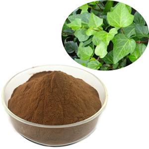 IVY extract
