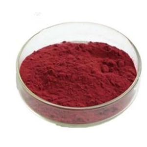 Pyrroloquinoline Quinone Powder