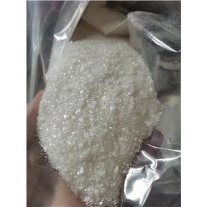 Procaine Hcl