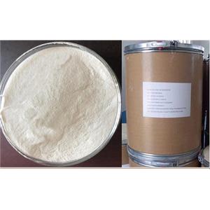 Ethyl cellulose