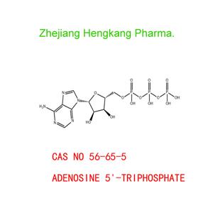 ADENOSINE 5'-TRIPHOSPHATE