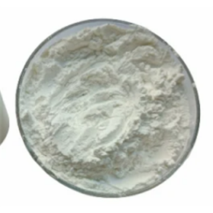 19-Norethindrone Acetate