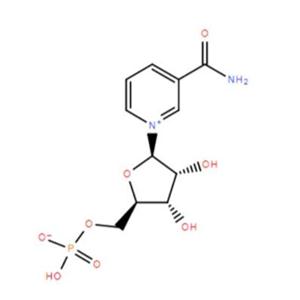 beta-Nicotinamide mononucleotide