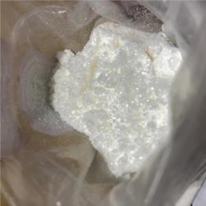 Dimethocaine Hydrochloride