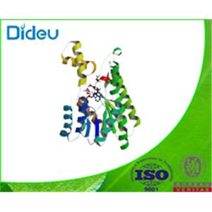 D-3-HYDROXYBUTYRATE DEHYDROGENASE