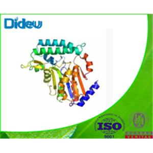 5'-NUCLEOTIDASE FROM CROTALUS ATROX VENOM*