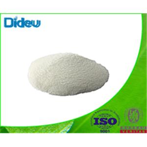 ACYL-COENZYME A SYNTHETASE