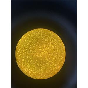 Polymethylsilsesquioxane