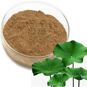 Lotus leaf extract