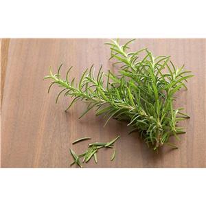 Rosemary oil