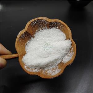 DEOXYRIBONUCLEIC ACID