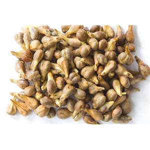 PROCYANIDIN B2; Grape seed extract