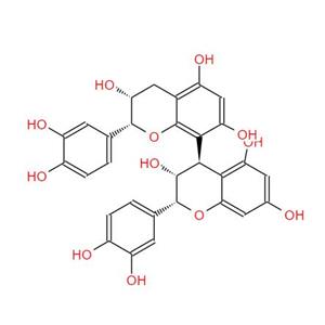 PROCYANIDIN B2; Grape seed extract