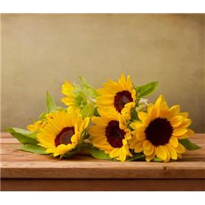 Sunflower extract; Lecithin