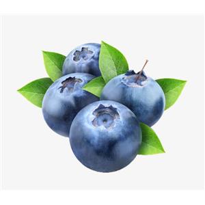 Powdered Bilberry Extract