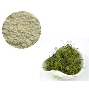 GYNOSTEMMA PLANT EXTRACT；GYPENOSIDES