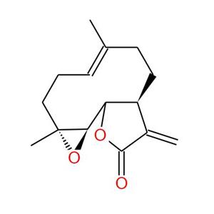 Parthenolide; Tanacetum parthenium