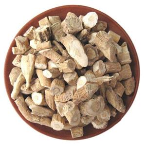 Isatis indigotica fort Extract