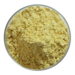 Ellagic acid; gallnut extract