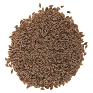 PSYLLIUM HUSK