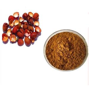 Lychee shell Polyphenols