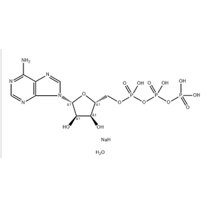 Adenosine 5'-Triphosphate Disodium Salt Hydrate