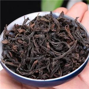 UURON-CHA EKISU; Oolong tea powder
