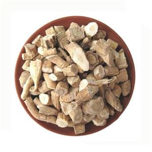 Isatis indigotica Root Extract